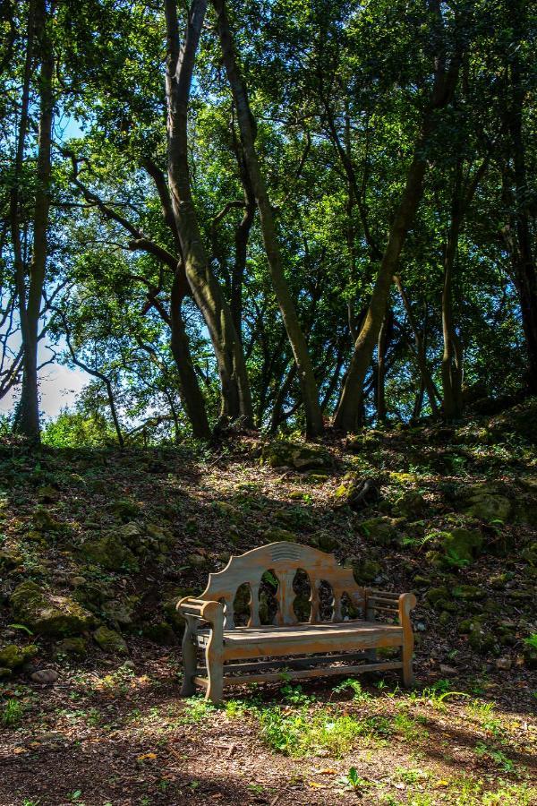 Vibe Luxury Cabins Arnuero Esterno foto