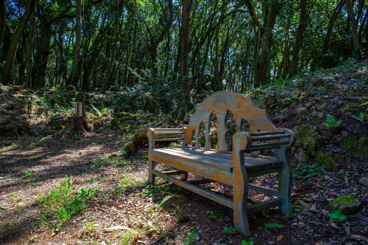 Vibe Luxury Cabins Arnuero Esterno foto