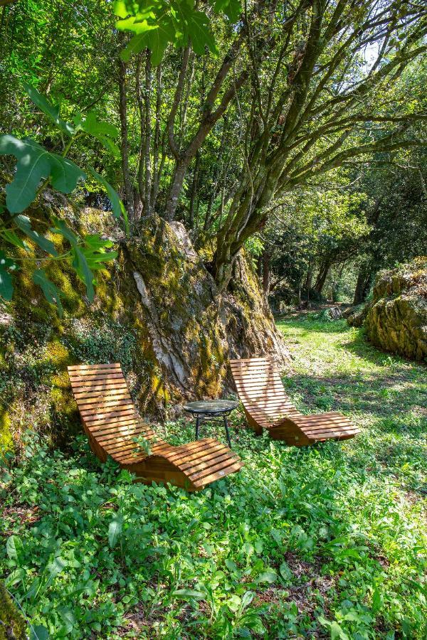 Vibe Luxury Cabins Arnuero Esterno foto
